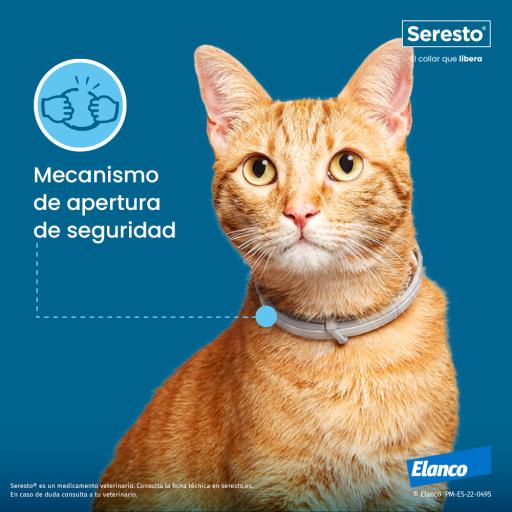 Seresto collar antiparasitario gato