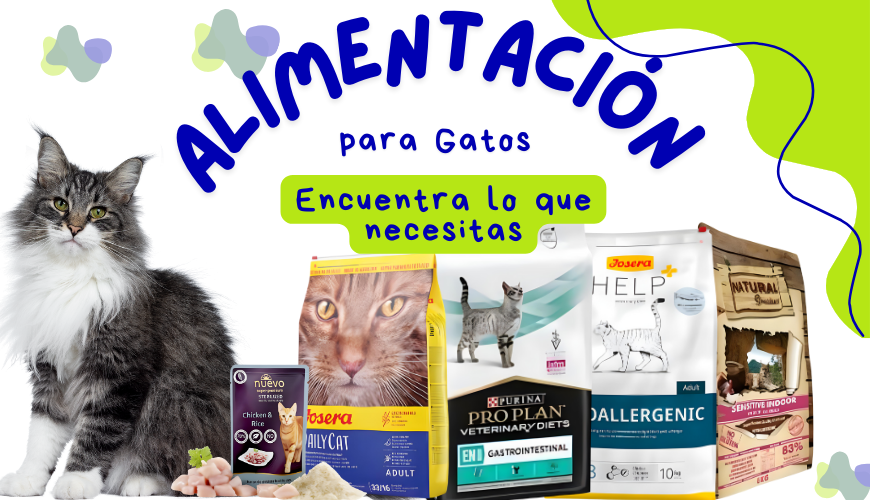 Alimentación para gatos