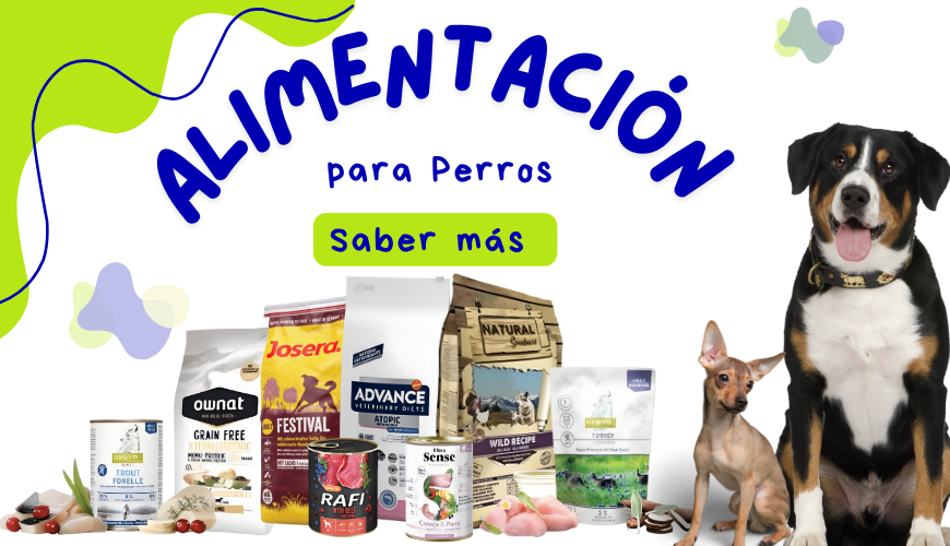 Alimento perros