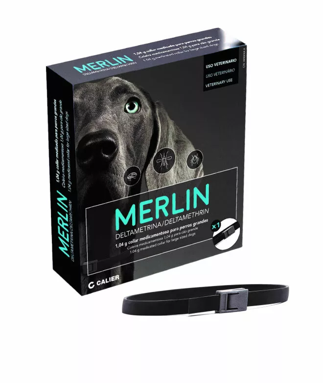 Calier collar antiparasitario merlin perros