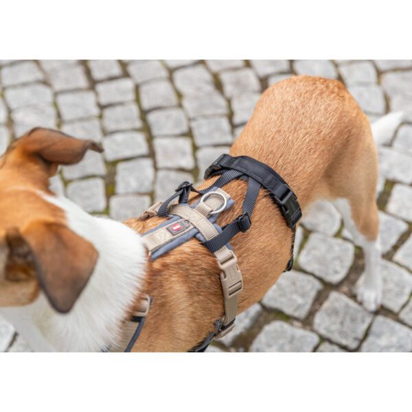 Masai Mara | Todo para el Cuidado de Tu Mascota Adaptador antipanico Stay para arneses LXL 5992 cm 25 mm 7 Masai Mara | Todo para el Cuidado de Tu Mascota
