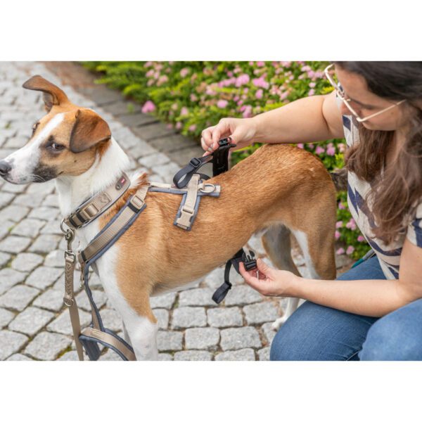 Masai Mara | Todo para el Cuidado de Tu Mascota Adaptador antipanico Stay para arneses LXL 5992 cm 25 mm 8 1 Masai Mara | Todo para el Cuidado de Tu Mascota