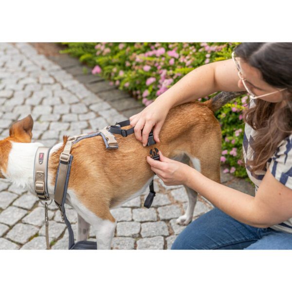Masai Mara | Todo para el Cuidado de Tu Mascota Adaptador antipanico Stay para arneses LXL 5992 cm 25 mm 9 Masai Mara | Todo para el Cuidado de Tu Mascota