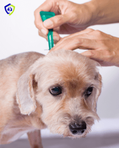 Masai Mara | Todo para el Cuidado de Tu Mascota Perro con Pipeta Antiparasitaria