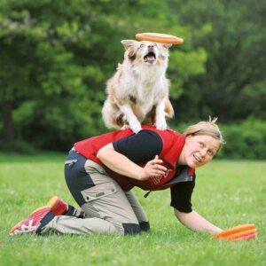 Disco para Perro - Imagen 5